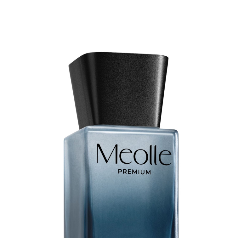 Odorizant cu bețișoare parfumate Meolle 100 ml – Dark Citrus