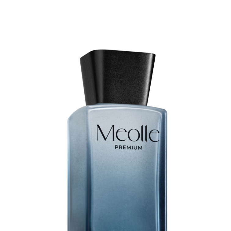 Odorizant cu bețișoare parfumate Meolle 250 ml – Dark Citrus
