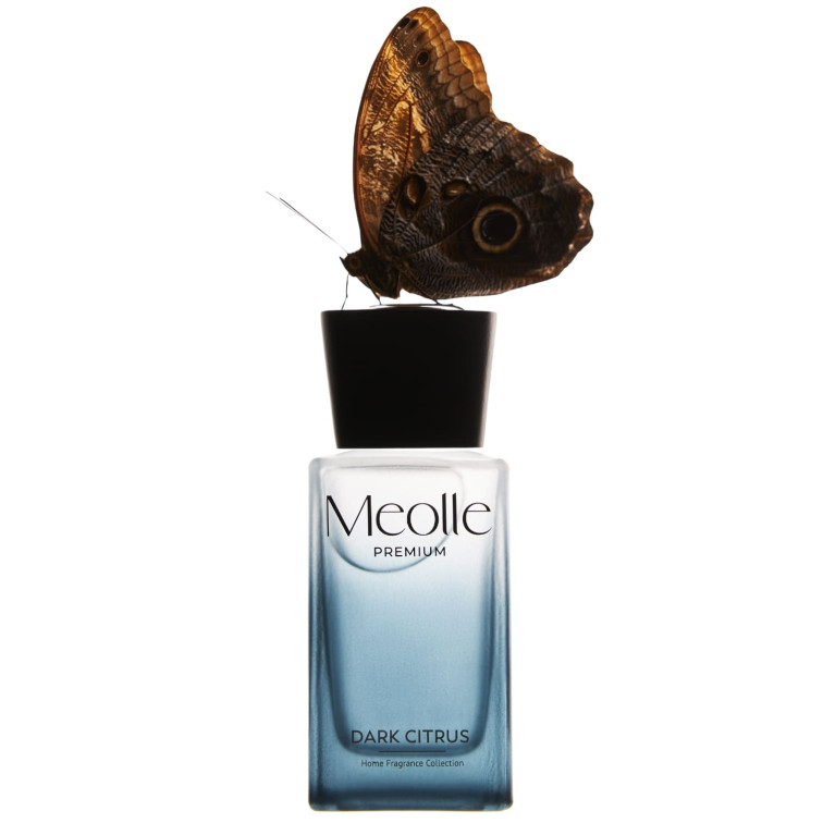 Odorizant cu bețișoare parfumate Meolle 250 ml – Dark Citrus