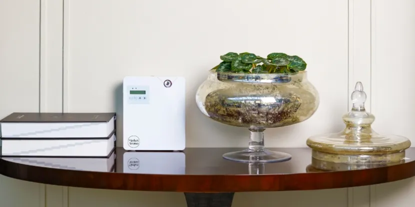 Beneficiile parfumului ambiental pentru afacerea ta: Tot ce trebuie să știi