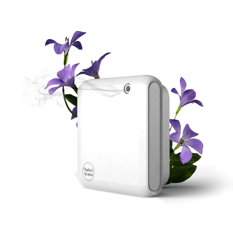 Doriți să vedeți mai multe